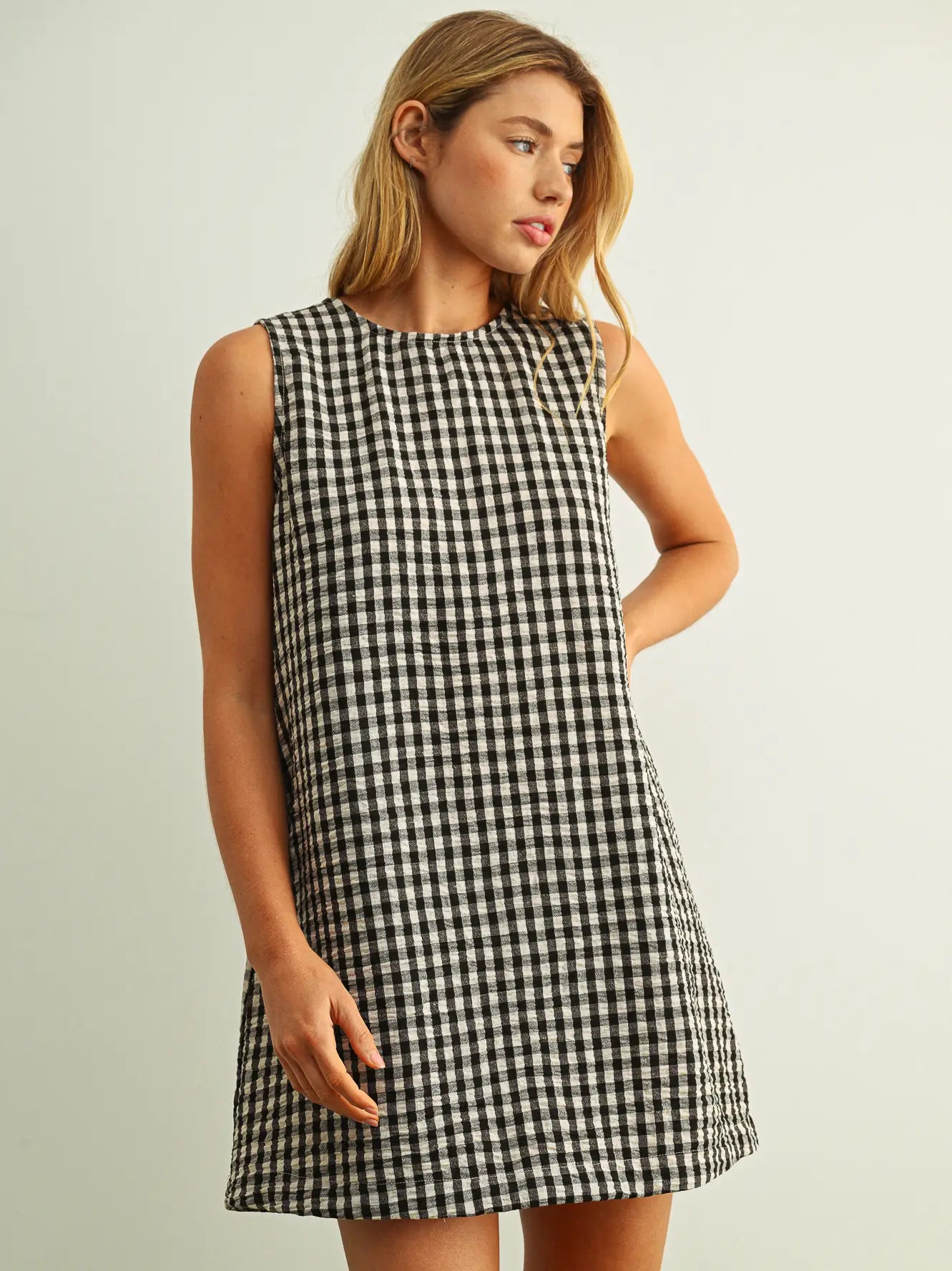 Paula Gingham Dress