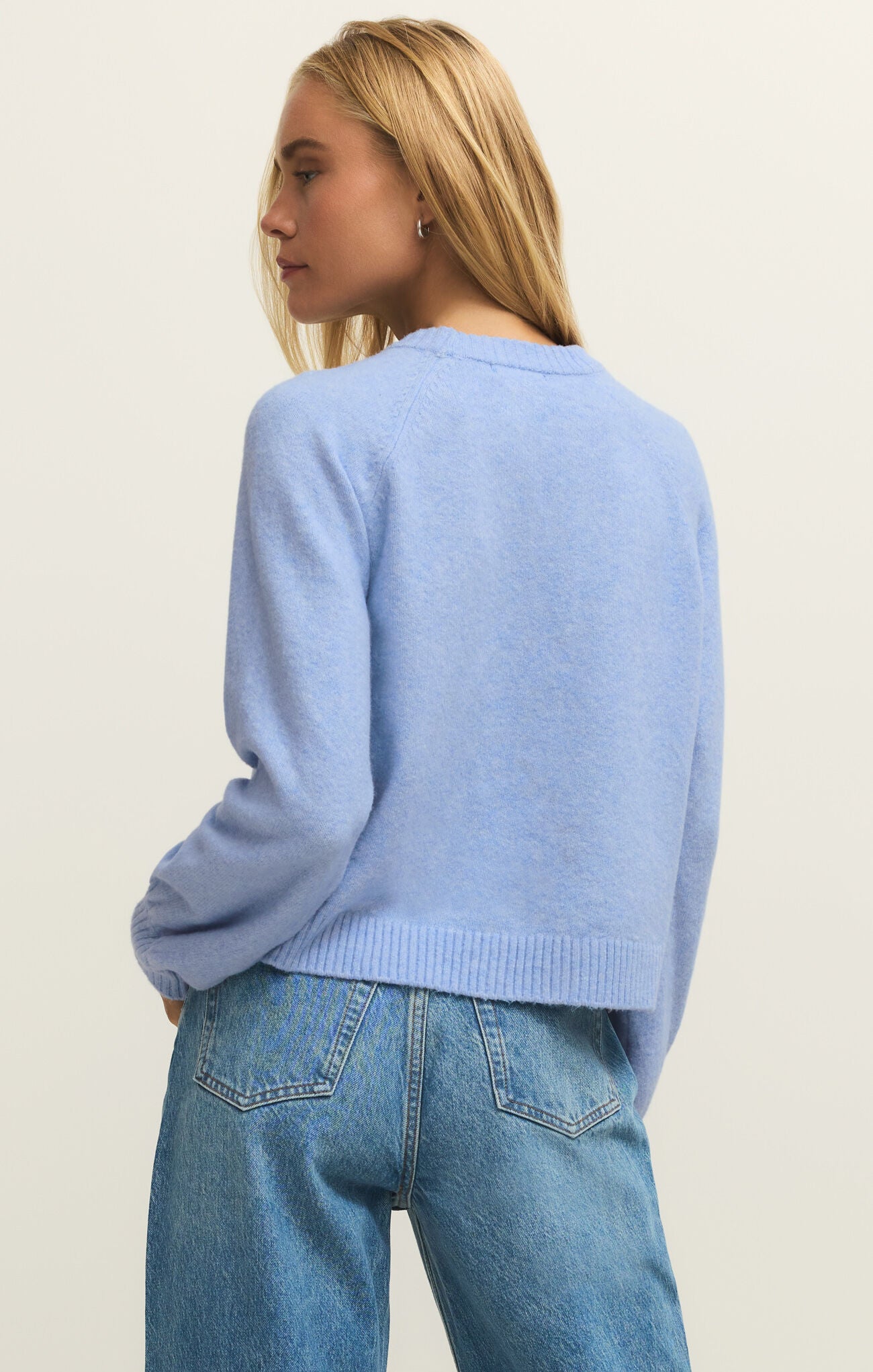 Z Supply Coming up Sweater in Blue Light