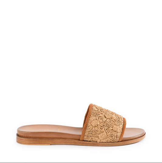 Seychelles Dakota Sandal