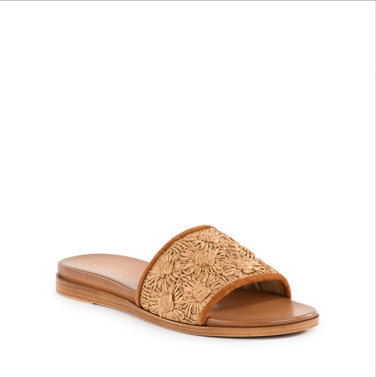 Seychelles Dakota Sandal