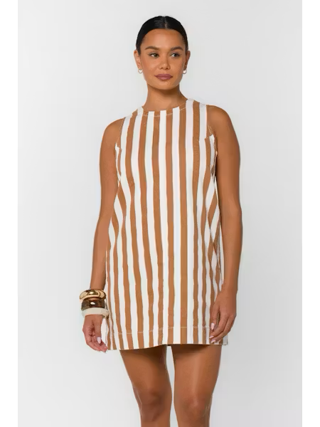 Treasure Mini Dress