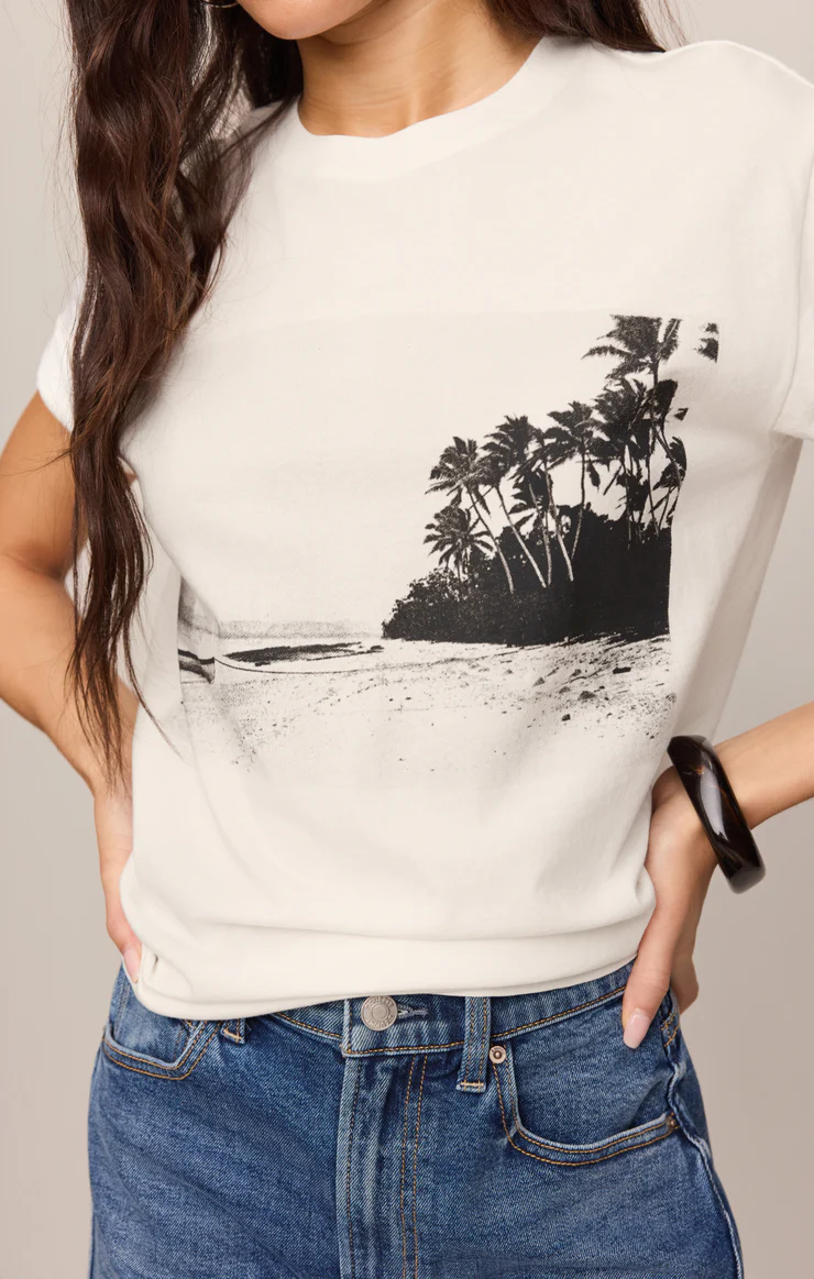 Z Supply La Playa Boyfriend Tee