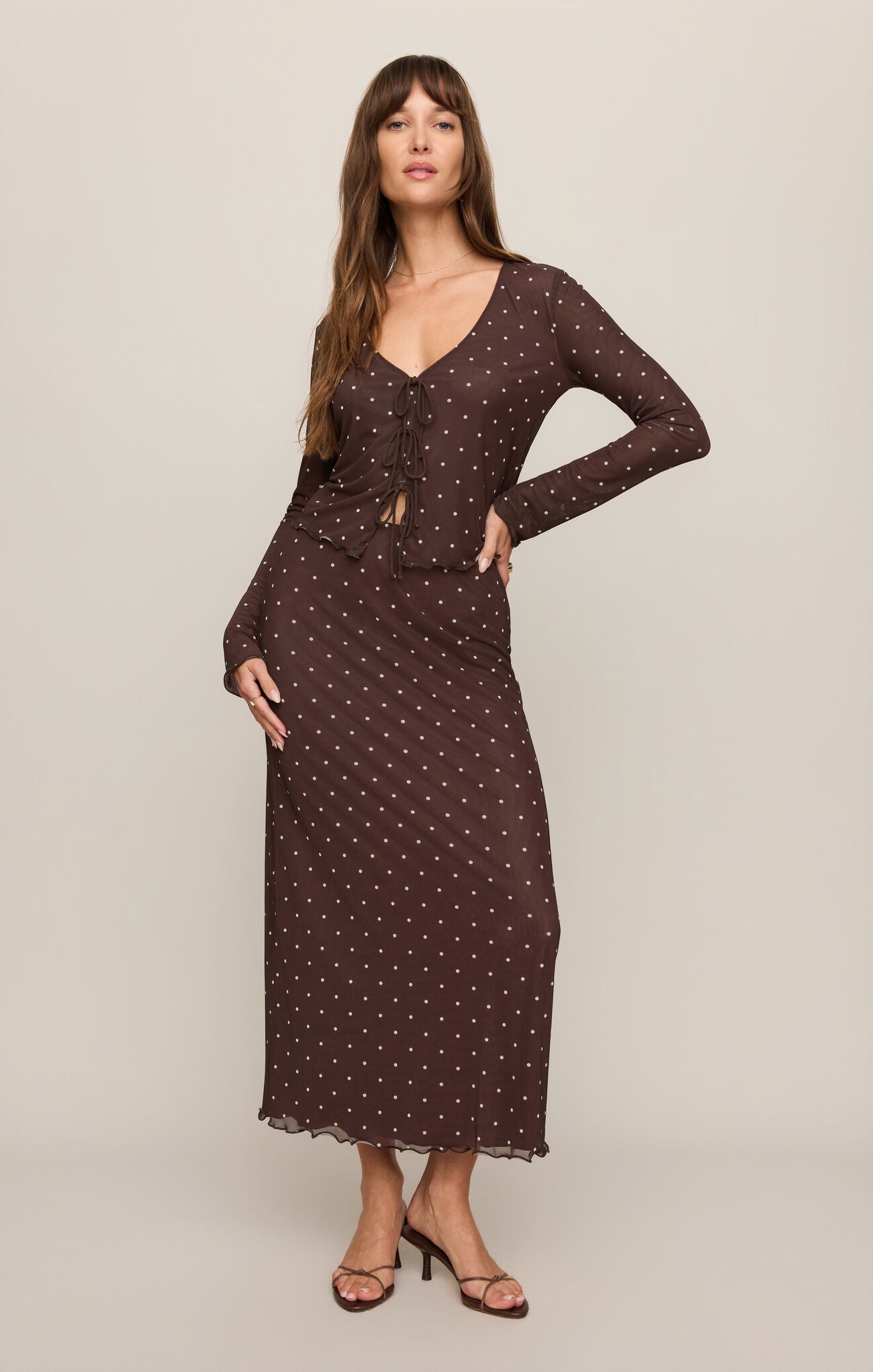 Z Supply Eda Polka Dot Mesh Midi Skirt