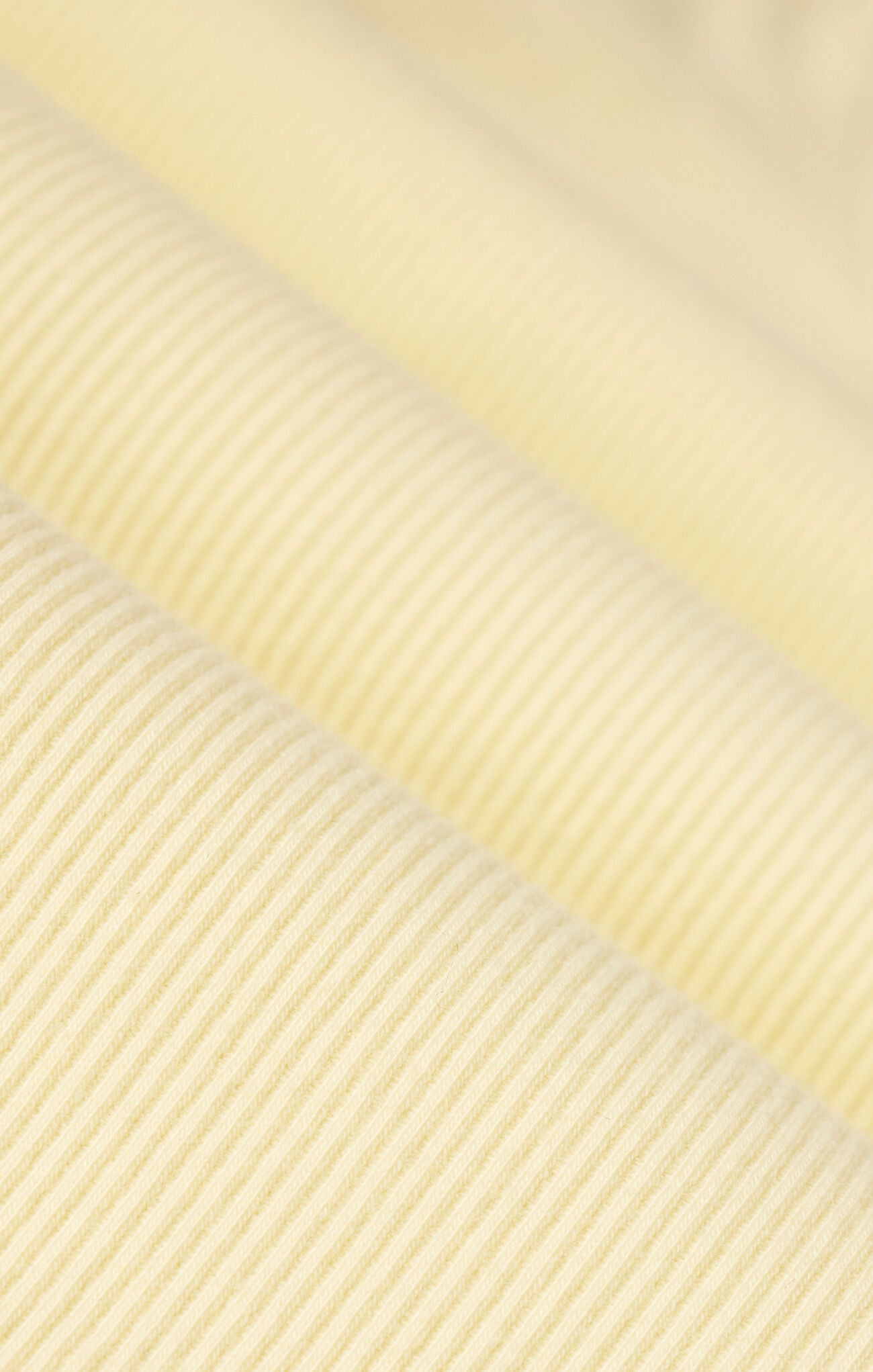Z Supply Sirena Colorblocked Rib Tank